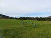 BALONČKI - OKTOBER
