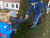 KAPLJICE - NOVEMBER