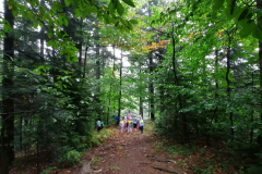 SONČKI - SEPTEMBER