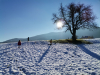 IMG_20221125_093309