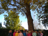 img_20191014_102653