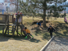 IMG_20220310_111003