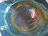 20220906_093120