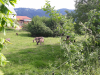 20190606_092739