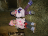 dscn9828